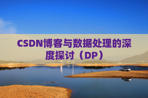 CSDN博客与数据处理的深度探讨（DP）