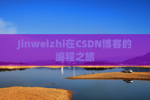 Jinweizhi在CSDN博客的编程之旅